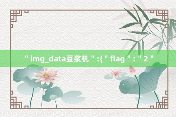＂img_data豆浆机＂:{＂flag＂:＂2＂